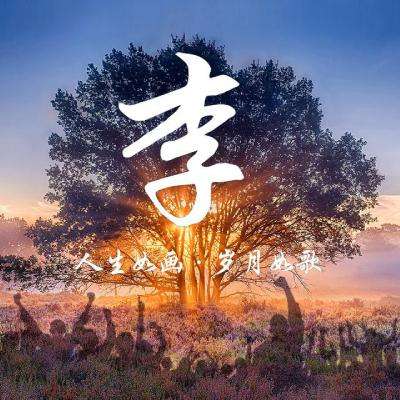 王子游戏盒app下载