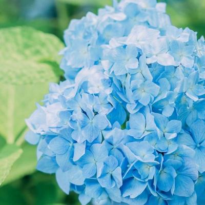 贪玩的小芳游戏(暂未上线)v1.0 安卓版